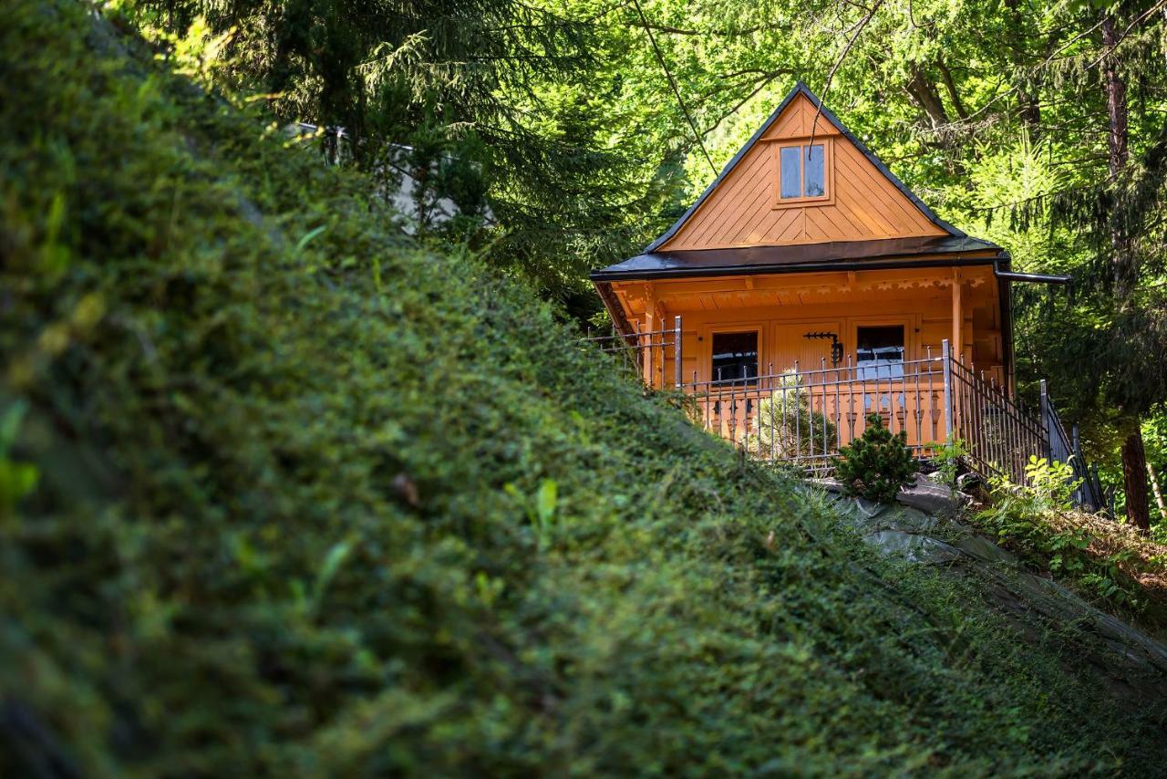 Willa nad Parkiem Szczawnica Exteriör bild